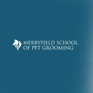 merryfield-school